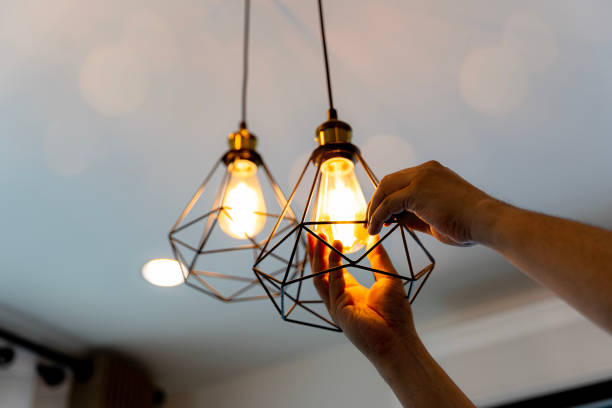 Best 24-Hour Electrician  in Geneseo, IL