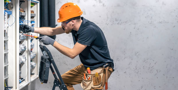 Best Electric Panel Repair  in Geneseo, IL